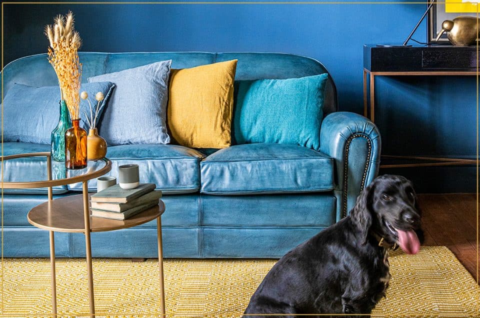 Quelles couleurs associer avec un canapé bleu ?